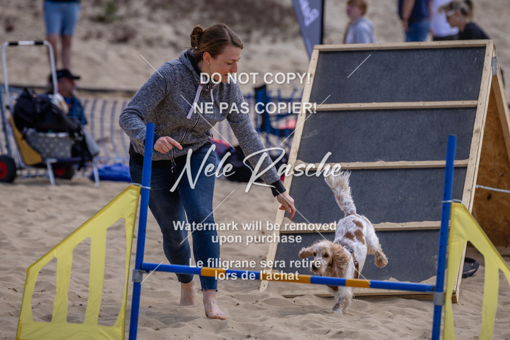 NR__2404 | nelerasche