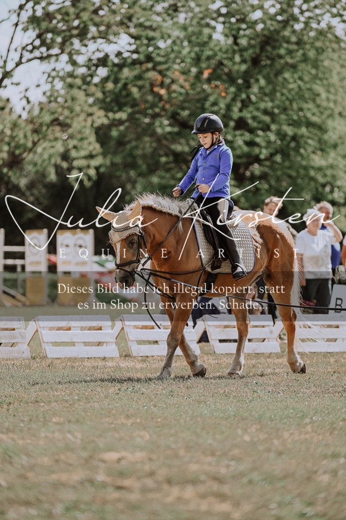 DSC_7517 | Pferde- und Turnierfotografie in Westsachsen. Pferdeportraits, Auftragszeichnungen und intuitive Kunst.