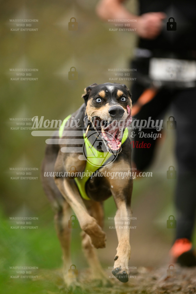 MompixPhotography_20TSB_E6_Run-118 | PayLife