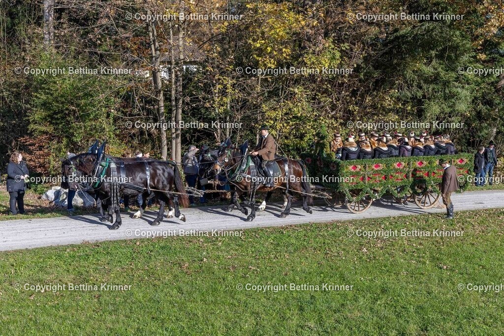 LBT24-894 | foto-bettina-krinner - Realisiert mit Pictrs.com