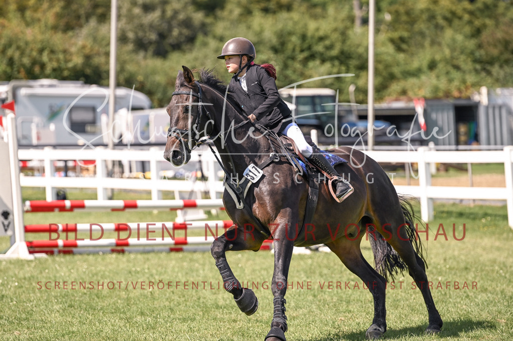 Schugtsche-Düren.2024-05.Springprf.E-51 | Schugtsche Fotografie - Realisiert mit Pictrs.com