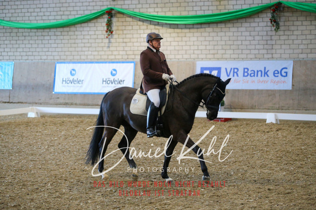 IMG_2832 | Turnierfotos kaufen im Webshop von Daniel Kuhl Photography – entdecke professionelle Reitsportfotos aus Turnieren & Events. Hochwertige Turnierbilder online bestellen & sichern. Jetzt Fotos von Reitsportturnieren kaufen!