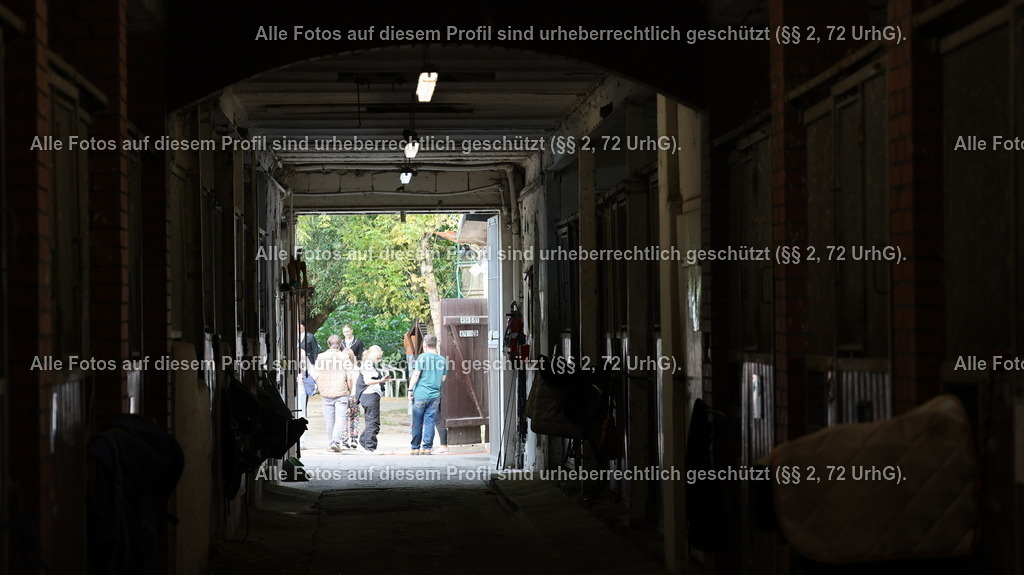 1P5A0216 | krollfotografie - Realisiert mit Pictrs.com