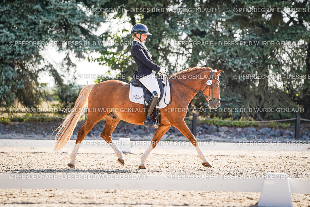 DSC00054 | Pferdegrafie