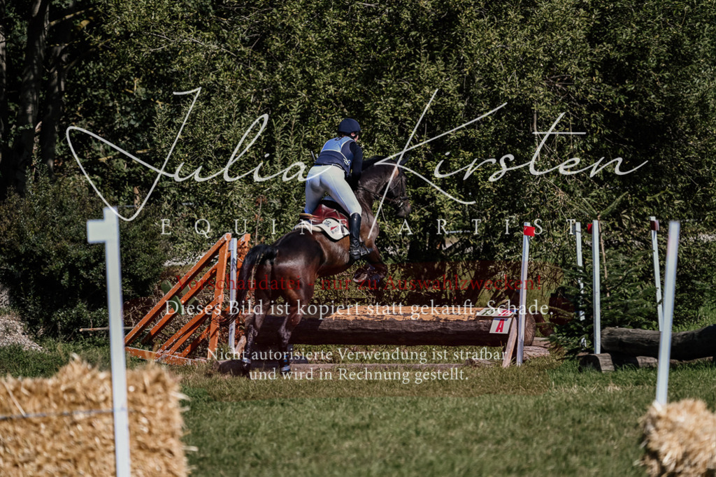 DSC_1623 | Pferde- und Turnierfotografie in Westsachsen. Pferdeportraits, Auftragszeichnungen und intuitive Kunst.