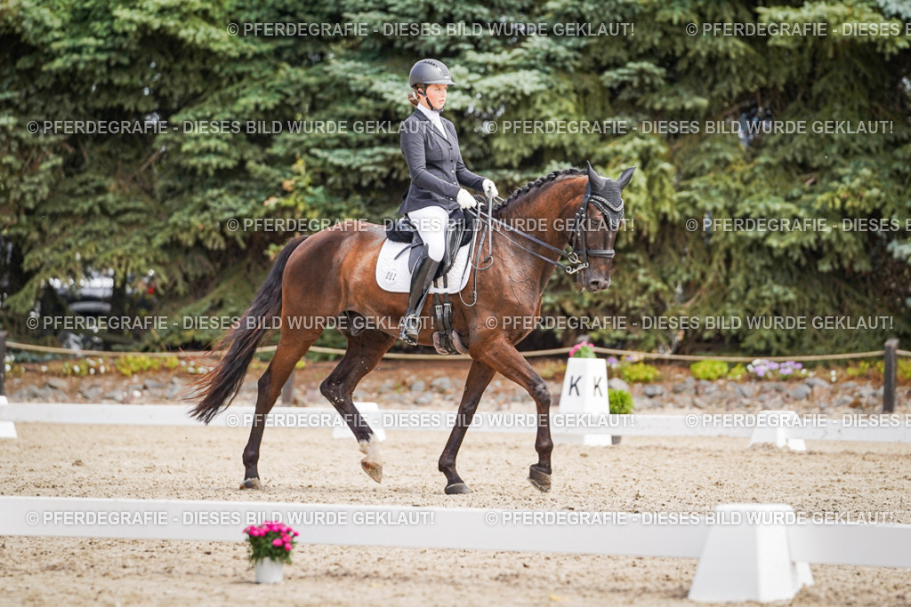 DSC03448 | Pferdegrafie