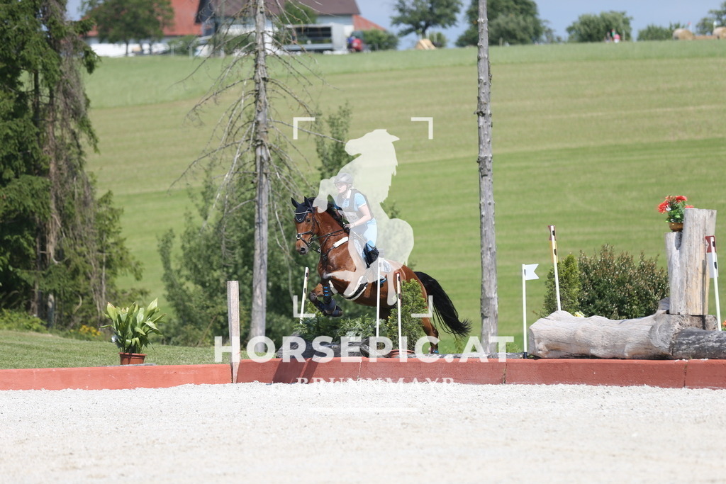 DL2Q2809 | Willkommen bei Brunnmayr - Design & Fotografie – Ihrem Spezialisten für Reitturniere und Pferdeveranstaltungen in Oberösterreich, Salzburg und Bayern! Seit über 17 Jahren sind wir leidenschaftlich dabei.