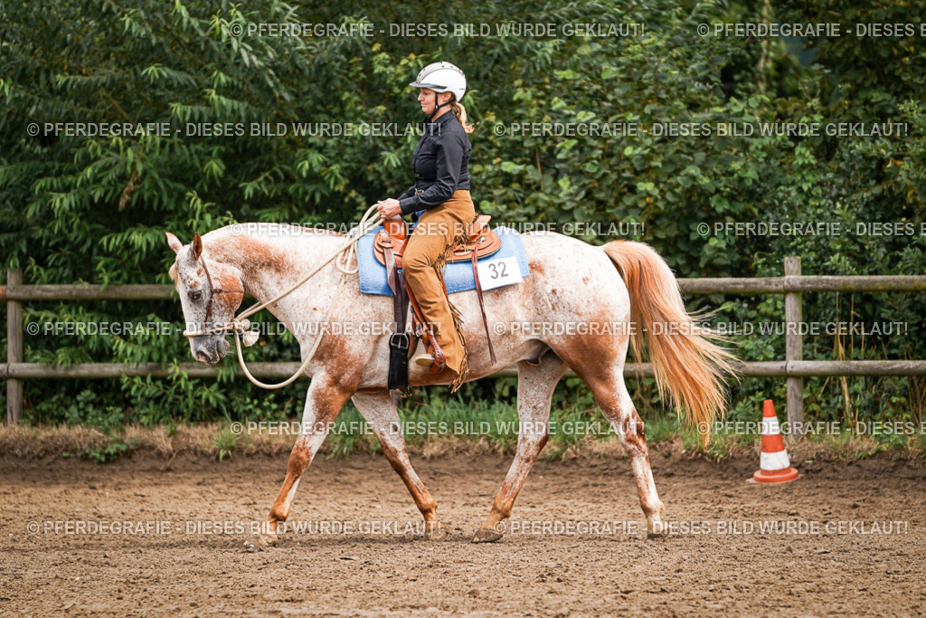 DSC04131 | Pferdegrafie