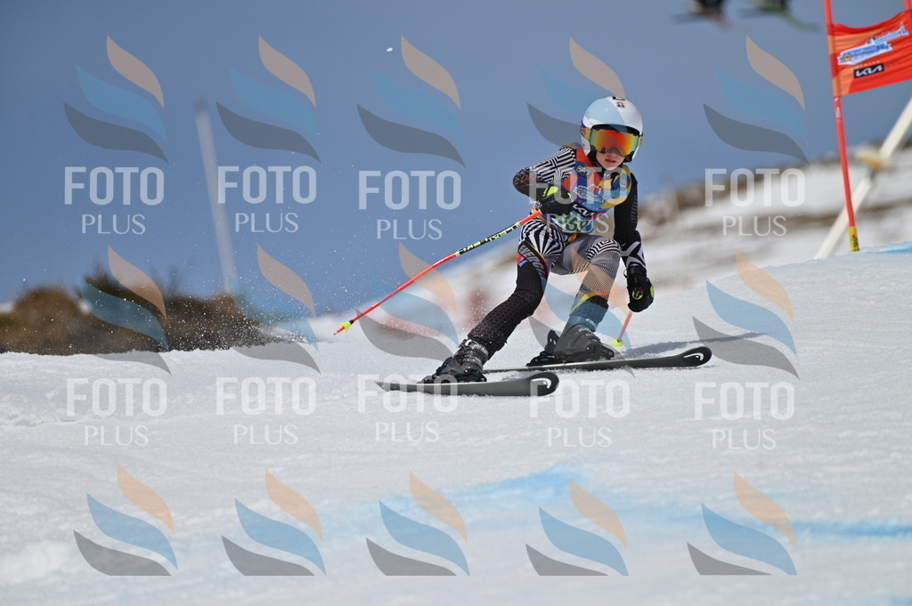 BGV_7089 | holidayphoto