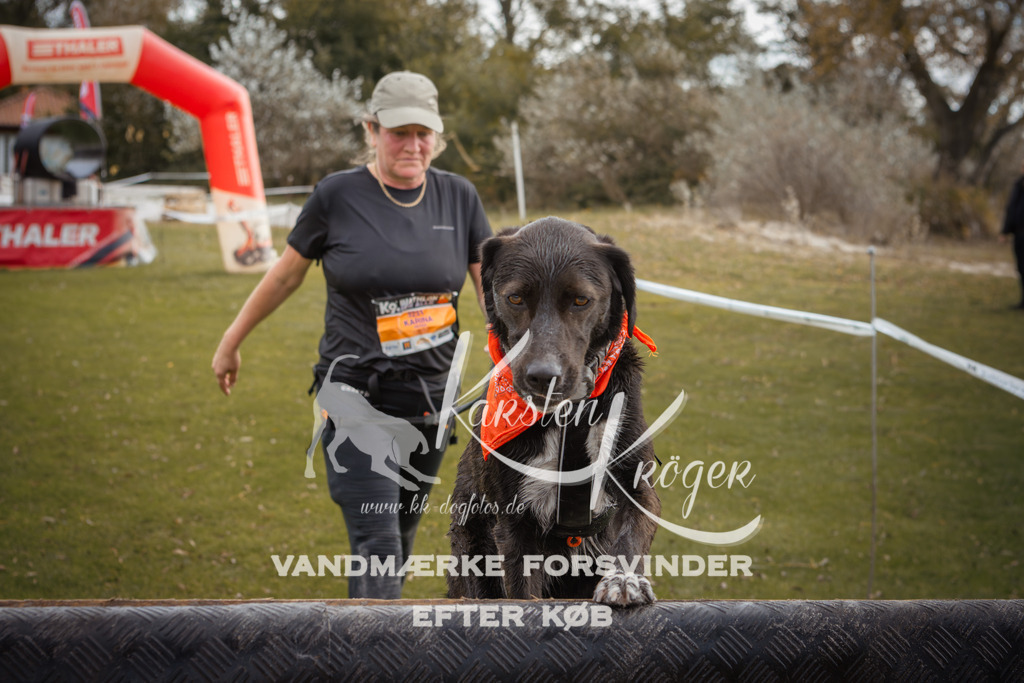 1331_ZZ91107-2 | kk-dogfotos