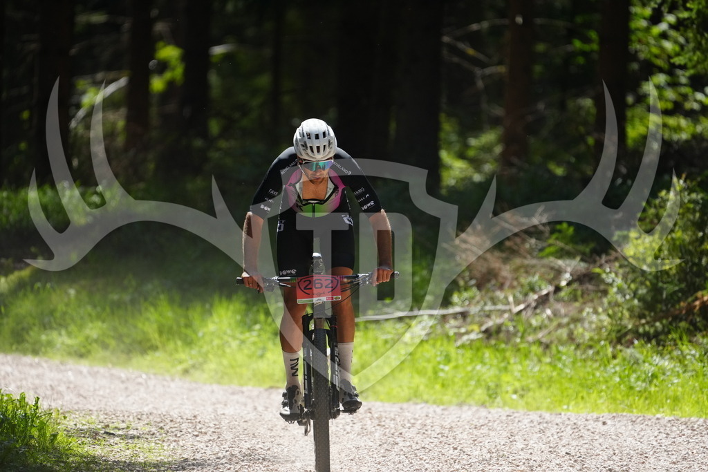 FC101963 | Fotogalerie der Treibjagd im Dunkelwald - Dein MTB Etappenrennen im Erzgebirge - Realisiert mit Pictrs.com