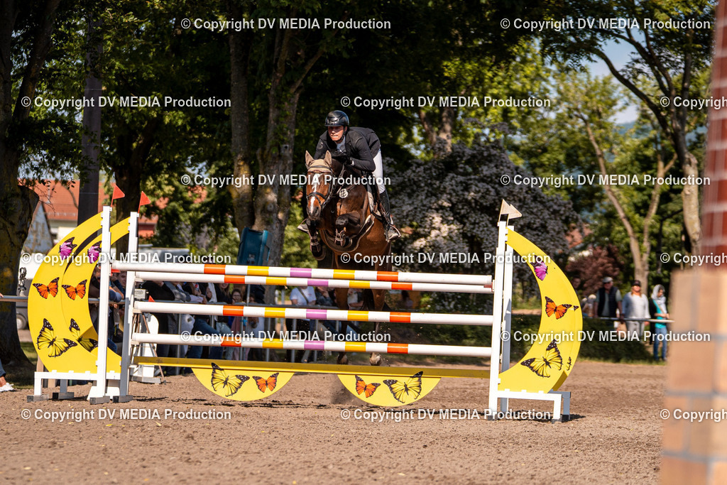 Eppelheim Tag 3-924 | dv-media-shop - Realisiert mit Pictrs.com