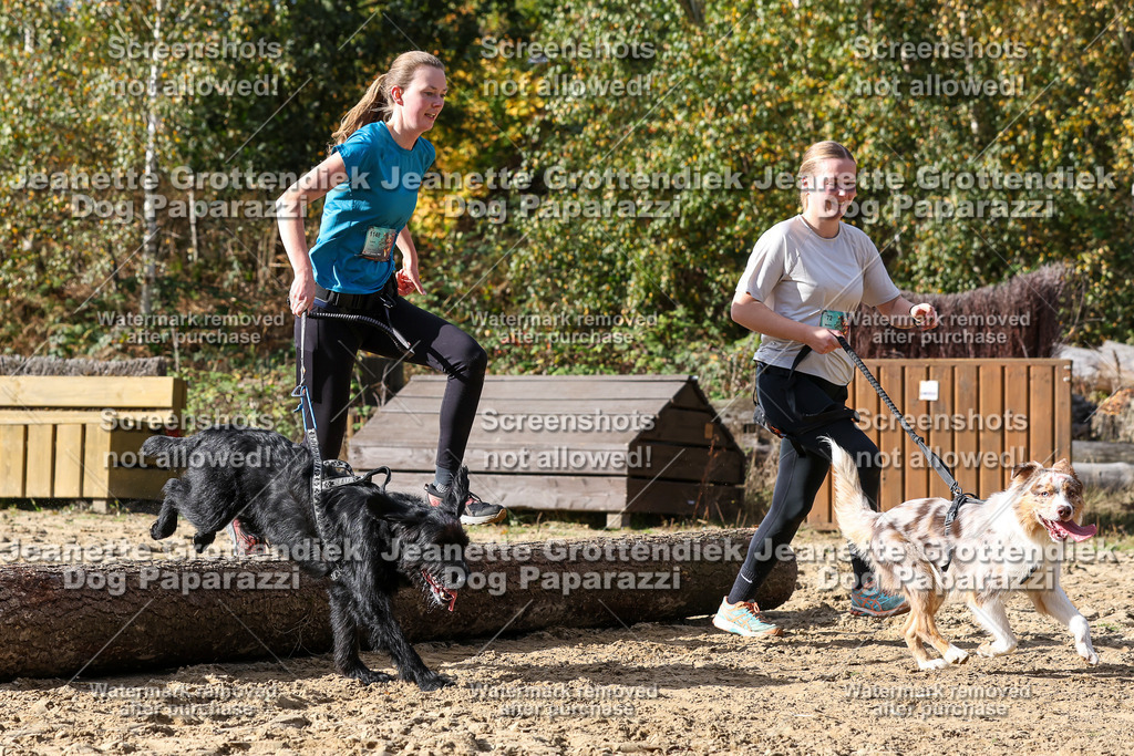 Dog Paparazzi - Strongdog 10-25-5345 | Dog Paparazzi Jeanette Grottendiek Fotografie & Videografie - Realisiert mit Pictrs.com