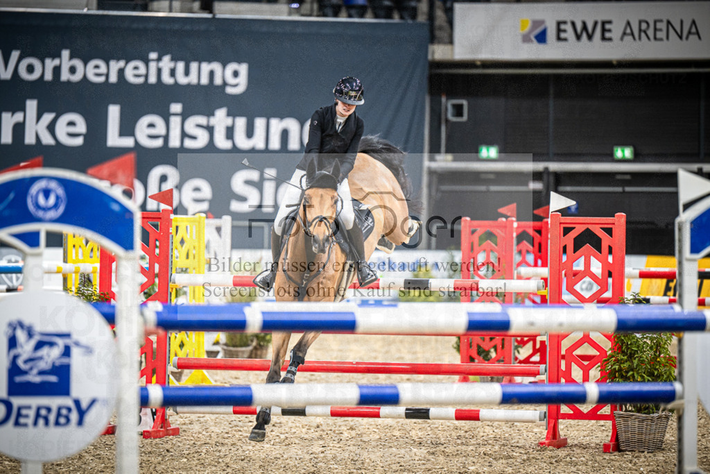 DOS_0234 | Entdecke hochwertige Reitturnierfotos von Foto Oger. Professionell, emotional und authentisch – jetzt Lieblingsmomente im Shop bestellen.Deutschlandweite Turnierfotografie. - Realisiert mit Pictrs.com