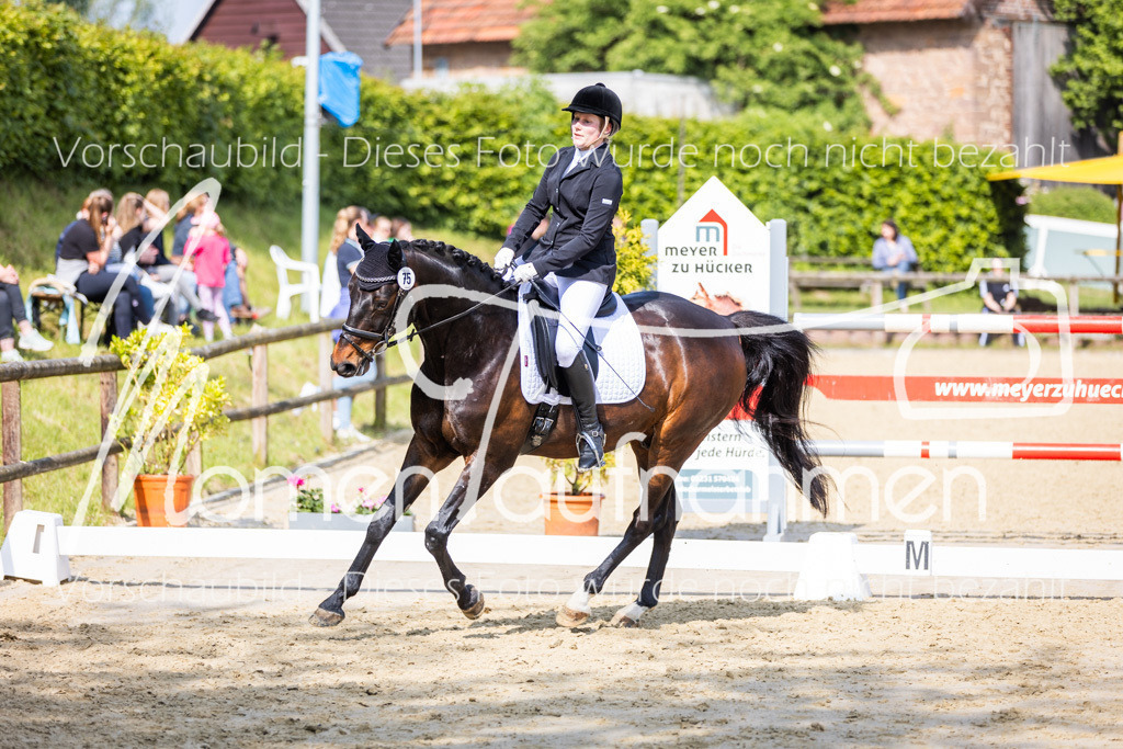 Donop24-A2-Dre-075 | MomenTaufnahmen Pferdesportfotos