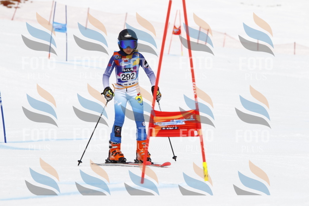 _U3G7292 | holidayphoto