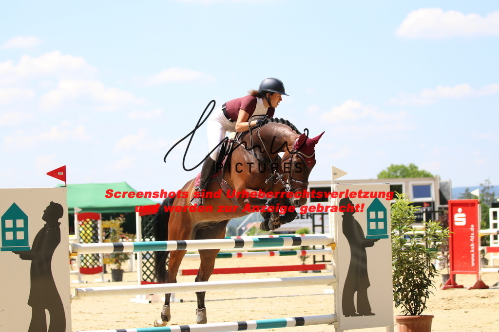 IMG_2340 | lmwpictures - Realisiert mit Pictrs.com