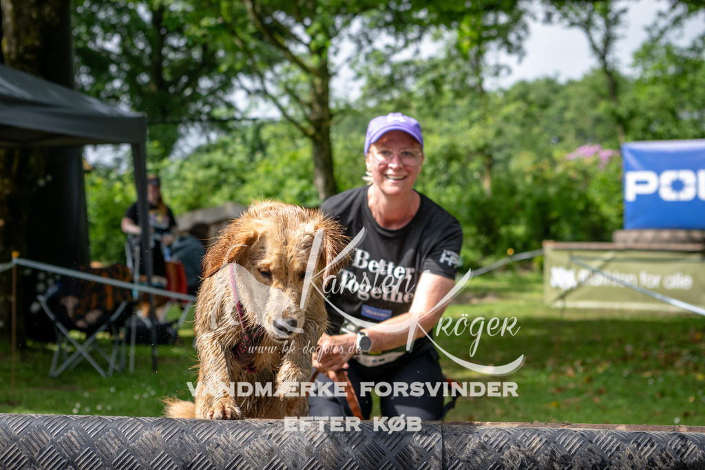1042_ZZ91707 | kk-dogfotos