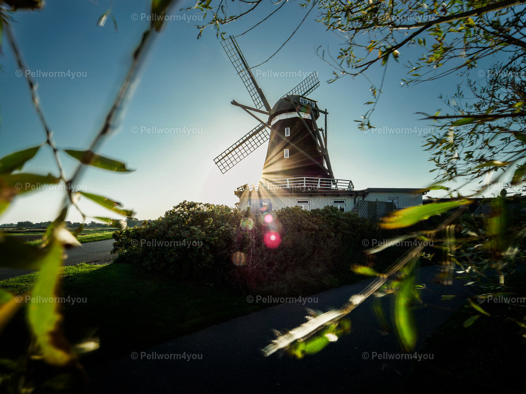 _9200680 | Pellwormer Bilder und Fotos als Poster, auf Leinwand mit Keilrahmen, hinter Acrylglas, auf Alu-Dibond oder Forex-Platte und vieles mehr. Zum verschenken, für die Ferienwohnung oder für zu Hause. - Realisiert mit Pictrs.com