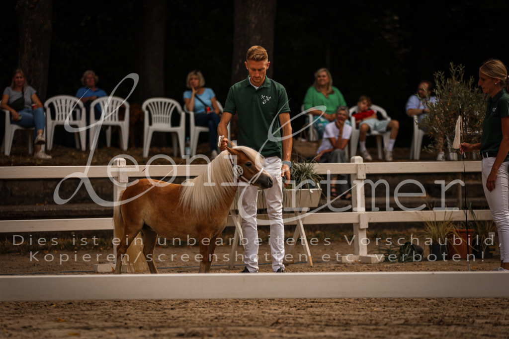 1.-2.Elite00002 | Leoni Ertmer Photography - Realisiert mit Pictrs.com