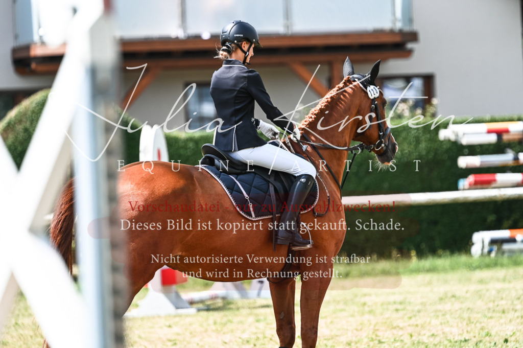 DSC_9166 | Pferde- und Turnierfotografie in Westsachsen. Pferdeportraits, Auftragszeichnungen und intuitive Kunst.