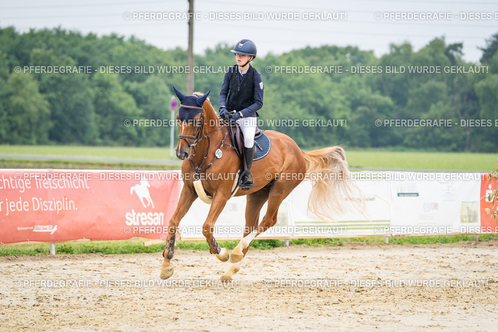 DSC00428 | Pferdegrafie