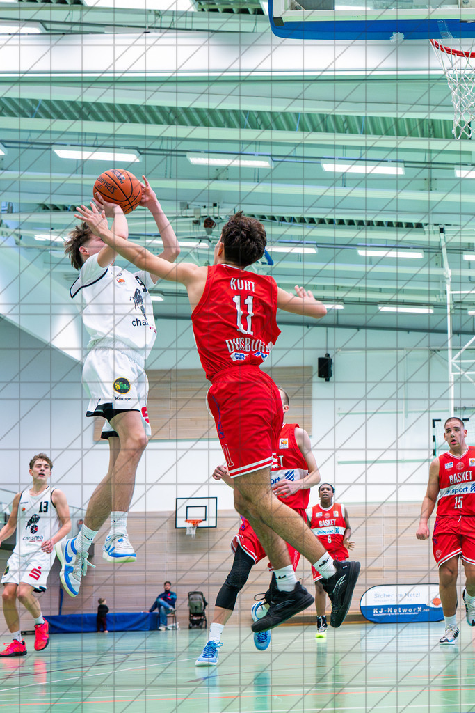 JBBL Vorrunde Gruppe 2 25/26 | Spieltag 06 | Charisma Young Bulls vs. Baskets Duisburg | 16.11.25: JBBL Vorrunde Gruppe 2 25/26 | Spieltag 06 | Charisma Young Bulls vs. Baskets Duisburg / Osnabrück / Deutschland  //   CREDIT:www.bullenfotos.de, Martin König, Hörner Weg 40, D-49078 Osnabrück, +4917663732967 // Nutzung und Weitergabe nur zu den vereinbarten Zwecken. Presseanfragen an Ersteller. Alle Rechte beim Ersteller. Honorierung nach MFM. - Realisiert mit Pictrs.com