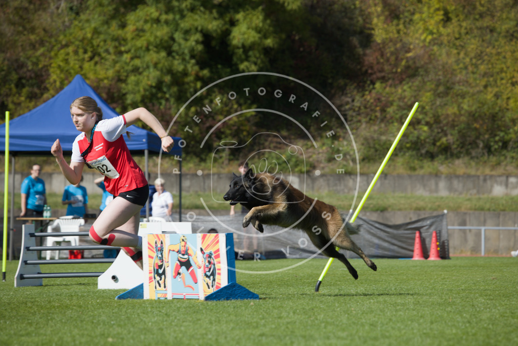 0L8A7292 | Hundefotografie, Tierfotograf, Pfotenfotografie, Fotoshooting Hund, Hunde Portrait, Hundesport, Hundeportraits, Heideshooting, Hunde, Sportfotograf, Hundefotograf, Turnierhundsport, THS,  - Realisiert mit Pictrs.com