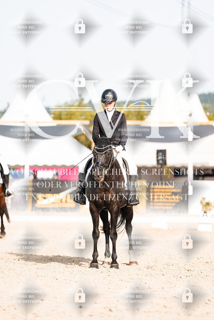 CK904992 | Turnierfotografie Pferdefotografie Trier Rheinland-Pfalz Pferdesport Reitsport Tierfotografie Sportfotografie Pferdevideo Pferdevideografie Equestrianvideography equestrianphotography  - Realisiert mit Pictrs.com
