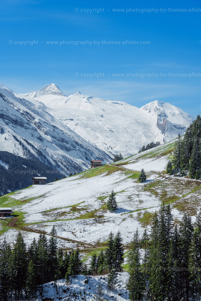 Tux Frühling copyright  Thomas Pfister-3 | PHOTOGRAPHY BY THOMAS PFISTER