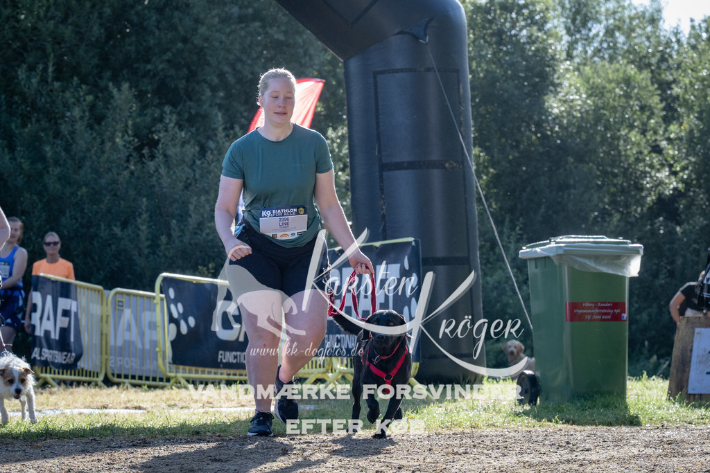 0910_ZZ94353 | kk-dogfotos