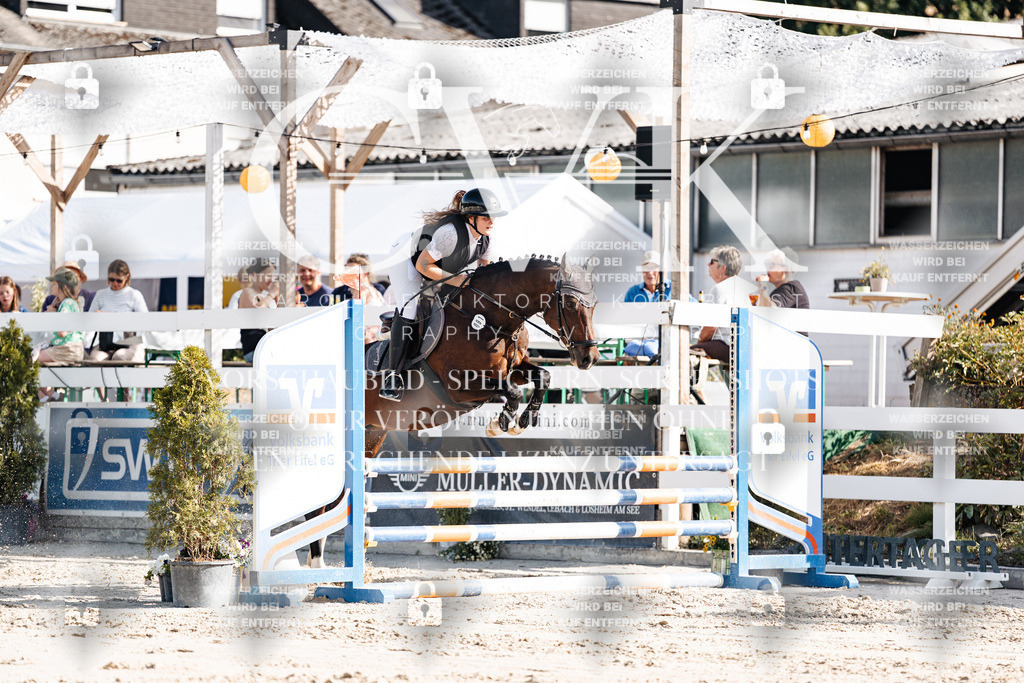 CK909301 | Turnierfotografie Pferdefotografie Trier Rheinland-Pfalz Pferdesport Reitsport Tierfotografie Sportfotografie Pferdevideo Pferdevideografie Equestrianvideography equestrianphotography  - Realisiert mit Pictrs.com