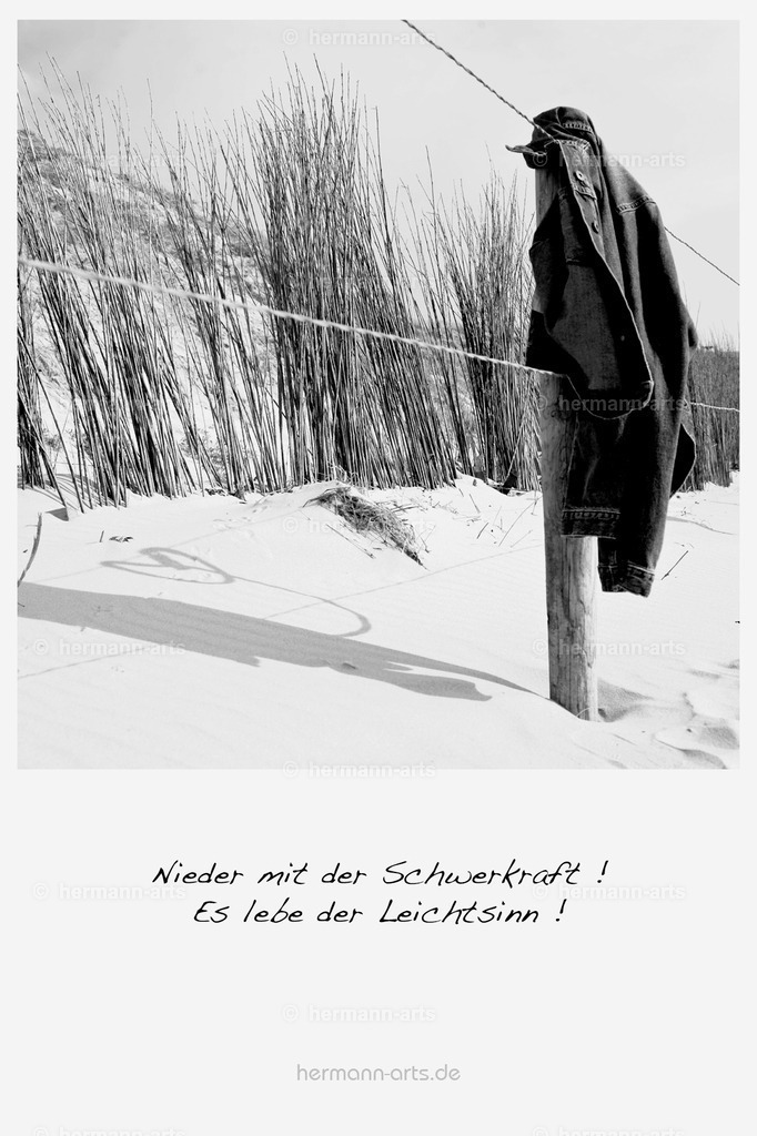 PK_Zitate_10x15_BW-144 | Photo Foto Kunst Art schwarzweiss Bilder Rheine Münster Berlin Blumen 