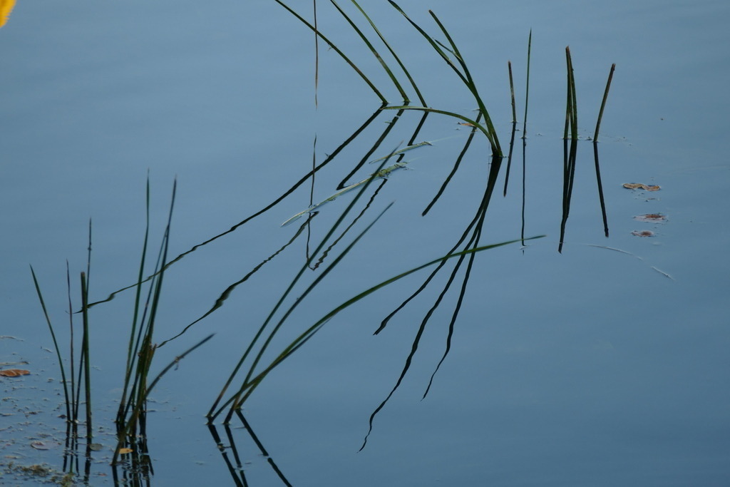 P2580558 | Annaeherungen - Realisiert mit Pictrs.com