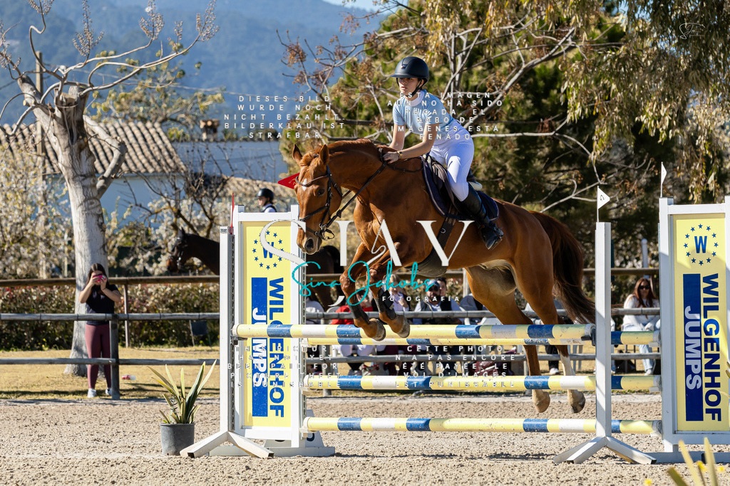 IMG_1171 | s-jay-photography - Realisiert mit Pictrs.com