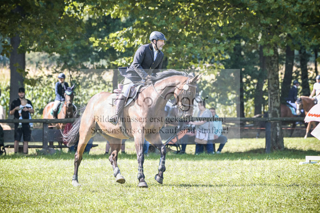 DOS_0190 | Entdecke hochwertige Reitturnierfotos von Foto Oger. Professionell, emotional und authentisch – jetzt Lieblingsmomente im Shop bestellen.Deutschlandweite Turnierfotografie. - Realisiert mit Pictrs.com