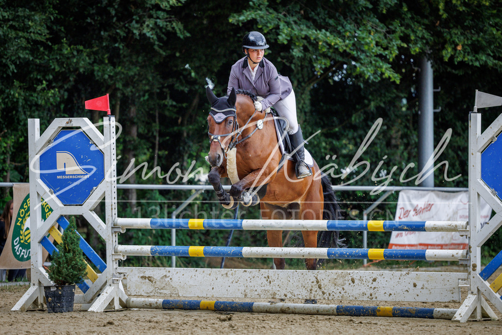 20260705-_3LI5095 | Tierfotografie Pferde, Hunde, Katzen, Haustiere.
Turnierfotografie Reitturniere, Reiten, Springreiten, Dressur in Hanau, dem Main-Kinzig-Kreis und dem Rhein-Main- Gebiet um Frankfurt