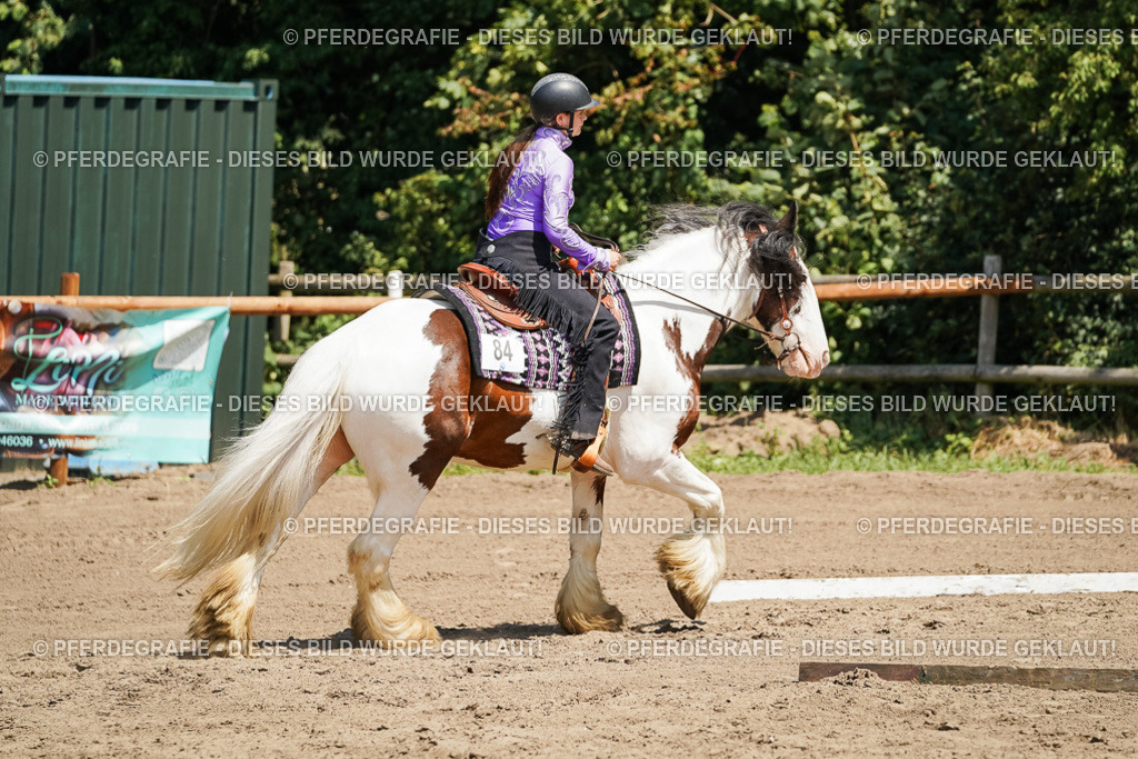 DSC07487 | Pferdegrafie