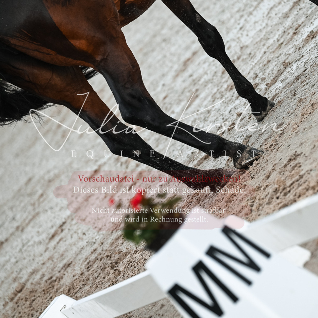 DSC_4208 | Pferde- und Turnierfotografie in Westsachsen. Pferdeportraits, Auftragszeichnungen und intuitive Kunst.