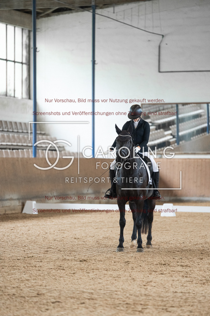 DSC01781 | Reitturnier_Göppingen_April_2026, Ronja_Bustin, Zafiro_33