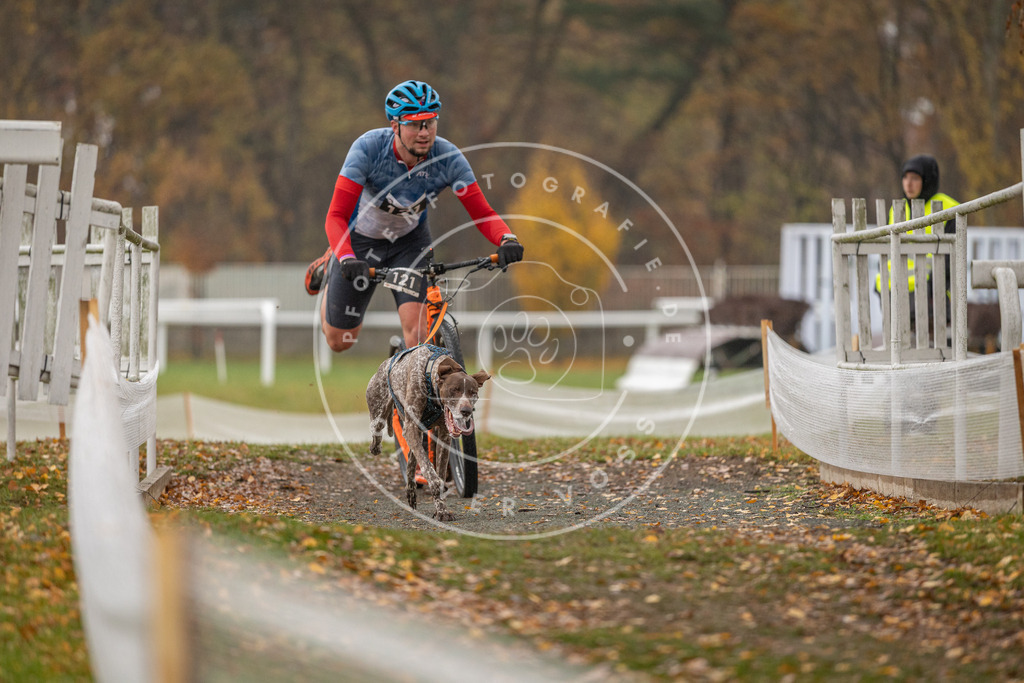 CaniXpix_DV3A8248 | Hundefotografie, Tierfotograf, Pfotenfotografie, Fotoshooting Hund, Hunde Portrait, Hundesport, Hundeportraits, Heideshooting, Hunde, Sportfotograf, Hundefotograf, Turnierhundsport, THS,  - Realisiert mit Pictrs.com