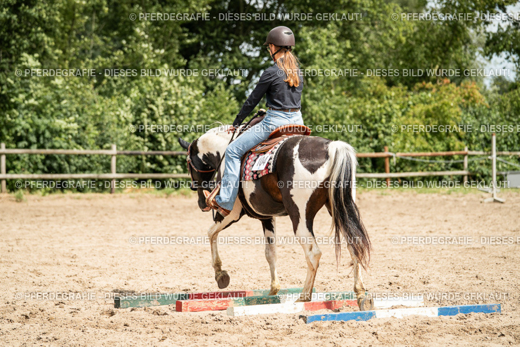 DSC01560 | Pferdegrafie