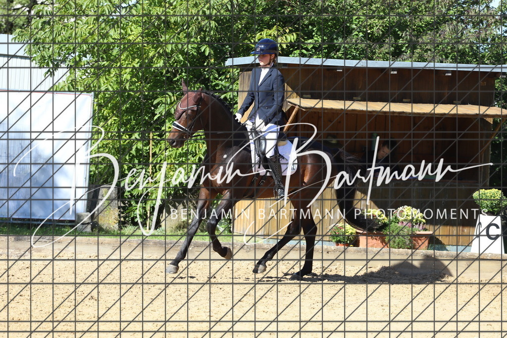 IMG_5574 | Benjamin Bartmann Photomoments