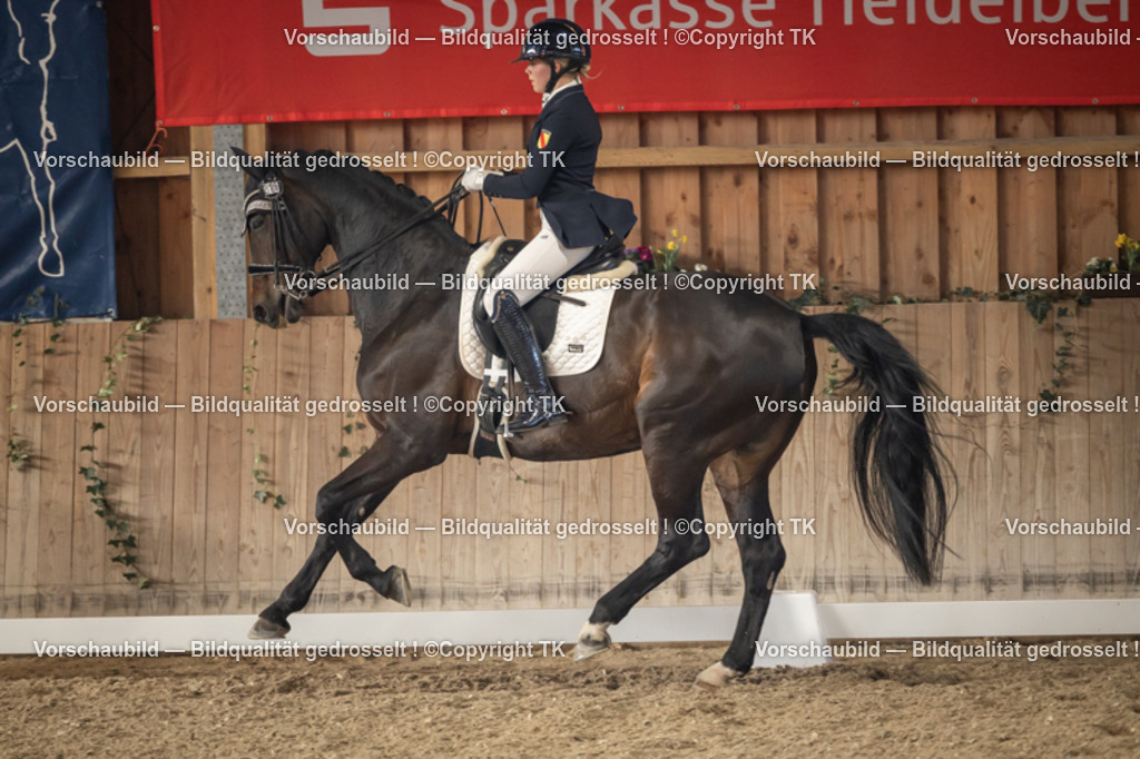 _D5A2977 | Emotionale Pferde- & People-Fotografie rund um Heidelberg, Leimen & Umgebung. Natürliche Fotos von Pferd, Mensch & Familie. Jetzt Termin sichern!