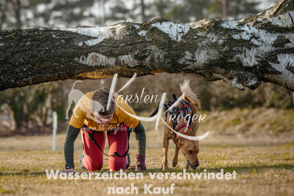 0846_ZZ95830 | kk-dogfotos