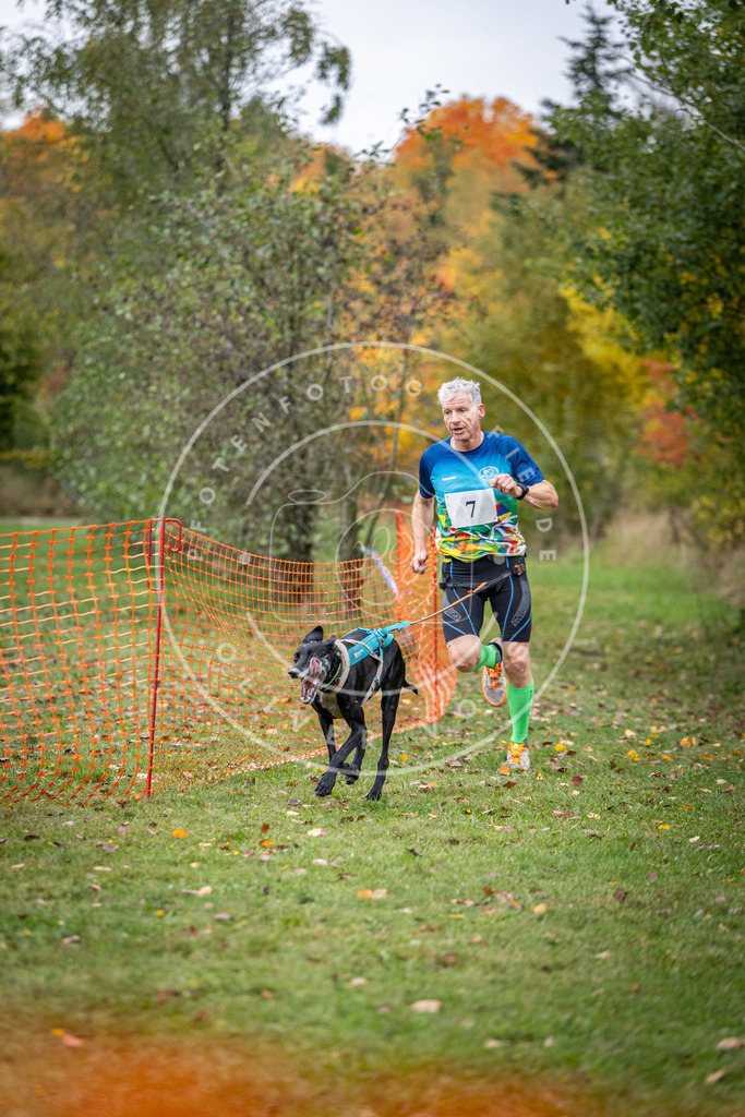 Pfotenfotografie_DV3A1700 | Hundefotografie, Tierfotograf, Pfotenfotografie, Fotoshooting Hund, Hunde Portrait, Hundesport, Hundeportraits, Heideshooting, Hunde, Sportfotograf, Hundefotograf, Turnierhundsport, THS,  - Realisiert mit Pictrs.com