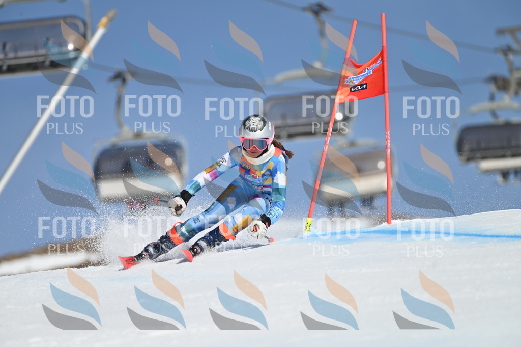 BGV_8678 | holidayphoto