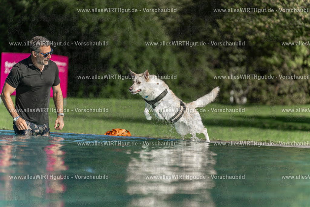 Hundeschwimmen_Volksbad_2026-allesWIRTHgut_Tierfotografie-2609061552-7R502006 | Professionelle Tierfotografie in Mönchengladbach von Daniel Wirth (allesWIRTHgut). Liebevolle & natürliche Bilder von Hunden & Katzen für unvergessliche Erinnerungen.