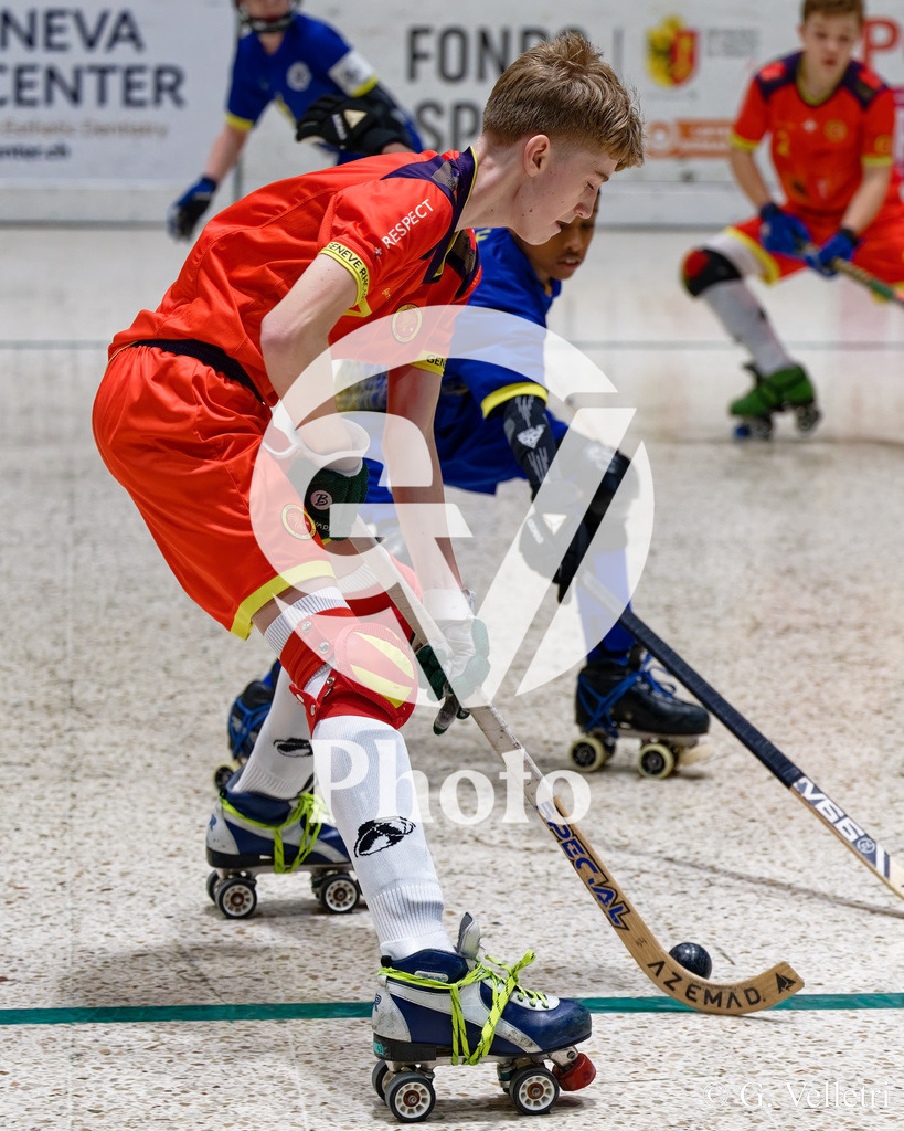 DZ8_3276 | Velletri Photo