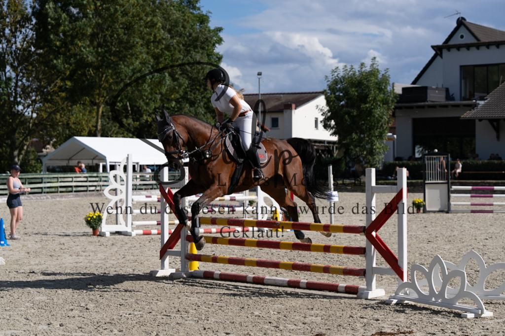 A7V07606 | Pferdefotograf